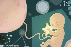 主案例